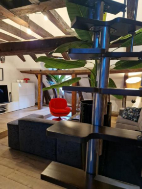Loft i gemelli